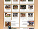 0120 rancho sonado sales list flyer