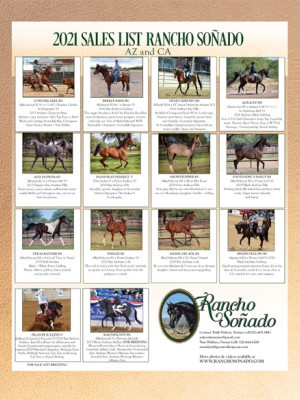 0321 rancho sonado az connection