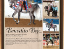 0613 ranchos sales beneditio