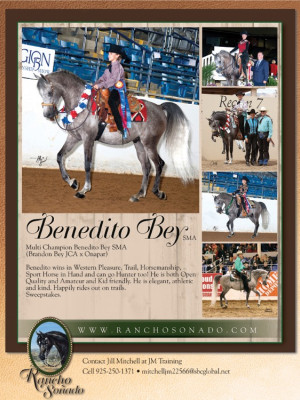 0613 ranchos sales beneditio
