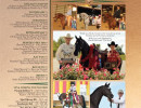 2015 feb ad rancho sonado thmb