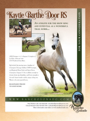 kaytie barthe door flyer page