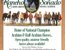 ntl champion home flyer