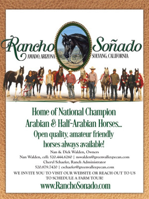 ntl champion home flyer