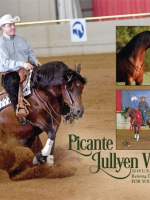 picante jullyen flyer