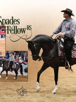 spades fellow flyer page